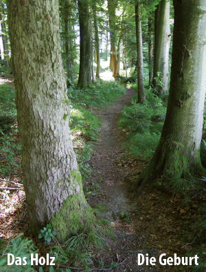 wald